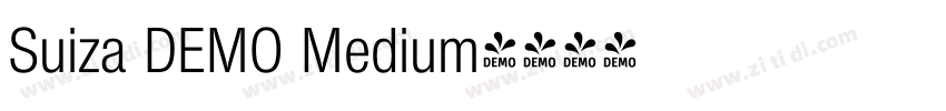 Suiza DEMO Medium字体转换